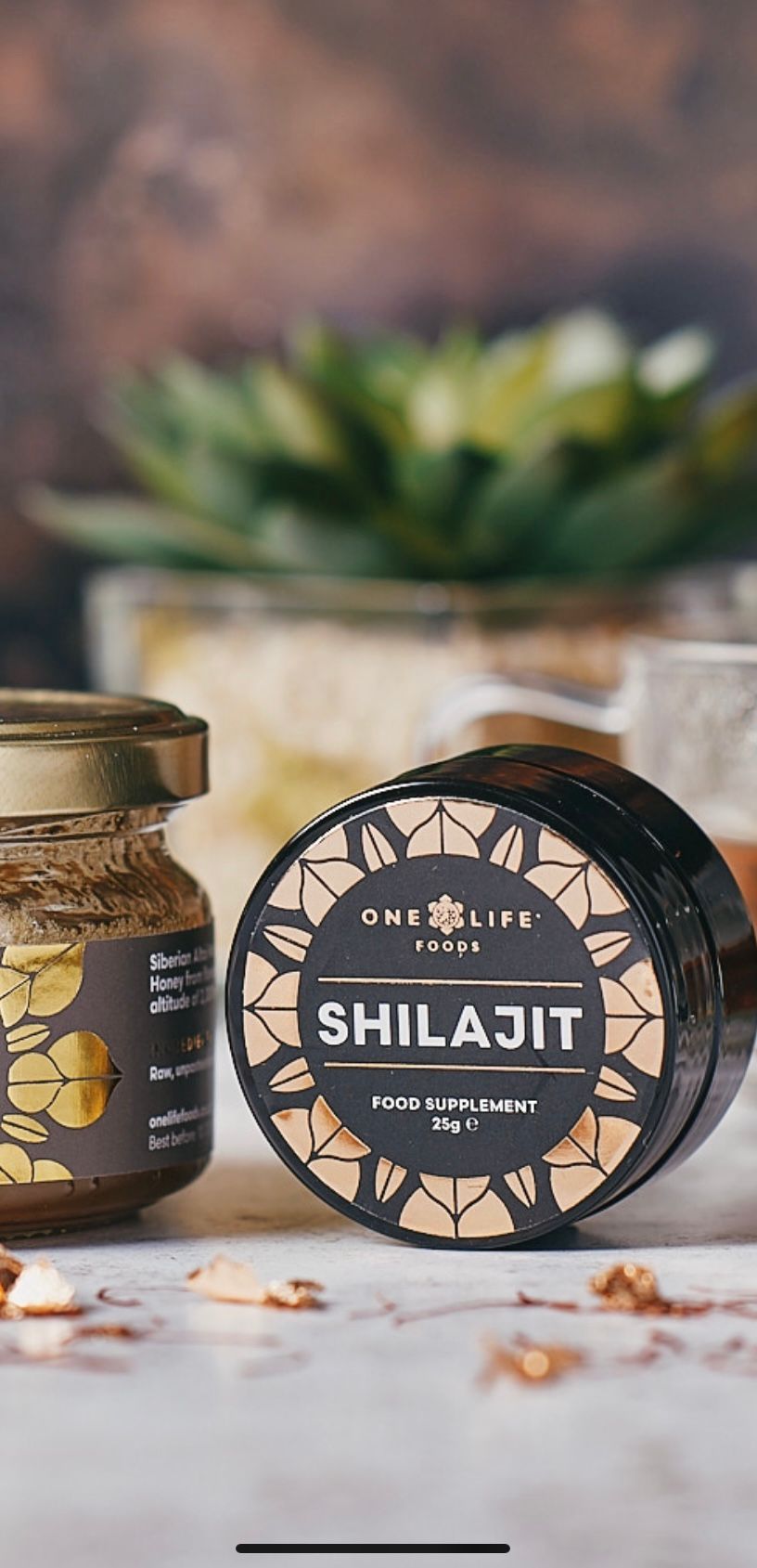 Shilajit 25g