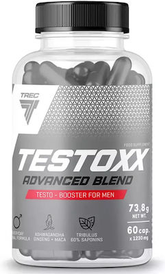 TestoXX